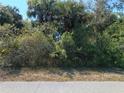 Vacant grassy lot ready for your imagination to design the perfect landscape at 3278 Cabaret St, Port Charlotte, FL 33948