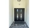 Modern double front doors with glass inserts and stylish hardware at 725 Clearview Dr, Port Charlotte, FL 33953