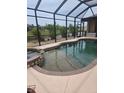 Sparkling screened-in pool and spa with beautiful views of the landscaped backyard and canal at 19 Medalist Way, Rotonda West, FL 33947