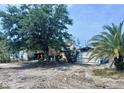 Exterior view of house with lush tree and mature palm, along with the carport on the right side of the home at 3170 Smith St, Englewood, FL 34224