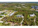 Aerial view of property with a private pool, surrounded by lush greenery and mature trees at 9144 Spring Valley Rd, Englewood, FL 34224