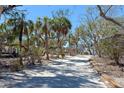 Landscaped yard with tropical trees surrounding a gray home, creating a serene outdoor space at 6430 Manasota Key Rd, Englewood, FL 34223
