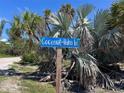 Charming 'Coconut Palm Lane' street sign surrounded by lush palm trees under a clear blue sky at 9270 Little Gasparilla Is, Placida, FL 33946