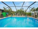 Inviting screened-in pool area surrounded by lush greenery and tropical foliage at 13703 Drysdale Ave, Port Charlotte, FL 33981