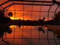 Screened pool reflecting colorful sunset, surrounded by lush tropical foliage at 1415 Bayshore Dr, Englewood, FL 34223