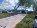 Home exterior showing the driveway leading up to the garage with a large tree in the front yard at 10228 Amadeus Dr, Port Richey, FL 34668
