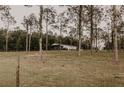 View of white barn with black roof and surrounding grass and woods at 18142 Powerline Rd, Dade City, FL 33523