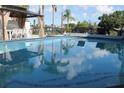 Relaxing backyard pool featuring lush greenery and serene water reflecting palm trees and clear skies at 817 Blue Heron Blvd, Ruskin, FL 33570