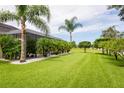 Expansive backyard boasting lush green grass, mature trees, and screened enclosure, creating a serene retreat at 14041 Bassingthorpe Dr, Spring Hill, FL 34609