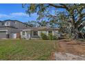 Ranch-style home with a driveway and large oak tree at 4317 S Trask St, Tampa, FL 33611