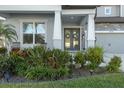Inviting front entrance with double doors and lush landscaping at 11449 Owasee Trails Pl, Riverview, FL 33569