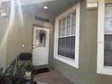 Close up of front door and window showing decorative touches and natural light at 8623 Snowy Owl Way, Tampa, FL 33647