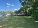 Lush, green, expansive yard with mature trees, offering privacy and potential for outdoor activities at 37906 Tucker Rd, Zephyrhills, FL 33542