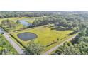 Expansive property with lush green fields and serene ponds, offering a peaceful retreat at 4142 El Shaddiai Sq, Plant City, FL 33565