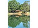 Beautiful view of the home reflected on a pond with ducks swimming nearby, surrounded by lush trees at 4101 N Forbes Rd, Plant City, FL 33565