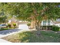 Attractive home featuring mature landscaping and a well-maintained lawn, with a two-car garage at 14385 Saltby Pl, Spring Hill, FL 34609
