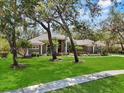 Charming single-story home with mature trees, lush lawn and manicured landscaping at 6007 Hammock Hill Ave, Lithia, FL 33547
