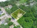 Aerial view showcases property surrounded by lush greenery and neighboring houses at 3205 N 66Th St, Tampa, FL 33619