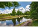 Scenic view of a community pond surrounded by lush greenery and a clear blue sky at 10642 Lake Montauk Dr, Riverview, FL 33578