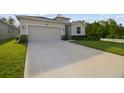 Long driveway leading to a well-maintained home with a two-car garage and lush landscaping at 15354 Sweet Springs Bnd, Odessa, FL 33556