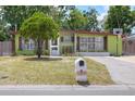 Inviting one-story home with green paint, a mature tree, and a driveway with basketball hoop at 10804 N Leo St, Tampa, FL 33612