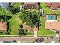 Overhead view of home with lush lawn and mature trees in a quiet neighborhood at 2223 Wildwood Hollow Dr, Valrico, FL 33596