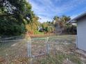 Large backyard featuring a chain-link fence, shrubs, and green trees at 14002 Morgan St, Dade City, FL 33525