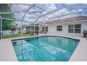 Sparkling pool with screened enclosure, complemented by a patio area for outdoor relaxation and entertaining at 4223 Amber Ridge Ln, Valrico, FL 33594