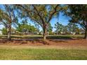 Peaceful view of a golf course with mature trees at 454 Cerromar Rd # 275, Venice, FL 34293