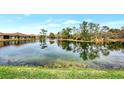 Serene view of a lake with lush green surroundings at 218 Auburn Woods Cir, Venice, FL 34292