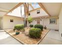 Private courtyard with landscaping and a central palm tree at 1743 Lake Pl # 1743C, Venice, FL 34293