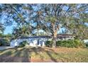 Single story home with large tree and landscaped yard at 3207 Woodmont Dr, Sarasota, FL 34232