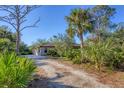Private driveway leading to a charming home surrounded by lush, mature landscaping at 1115 Gladstone Blvd, Englewood, FL 34223