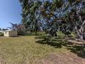 Expansive backyard with mature trees, a storage shed, and a serene waterfront view at 501 Dona Dr, Nokomis, FL 34275