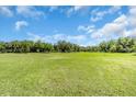 Expansive grassy field, perfect for recreation, with lush green grass and surrounding trees at 2211 Englewood Rd, Englewood, FL 34223
