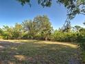Spacious backyard featuring mature trees and open space for outdoor activities at 14352 Pocono Ave, Port Charlotte, FL 33981