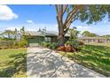 Inviting single-story home with a long driveway, mature landscaping, and a large shade tree at 888 Kimball Rd, Venice, FL 34293