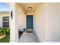 View of front door entryway with blue door, potted plant, and side window at 511 Porpoise Rd, Venice, FL 34293