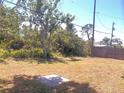 Large backyard with mature trees and partial fencing creating an outdoor sanctuary at 407 Bahama Rd, Venice, FL 34293