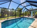 Stunning screened-in pool with clear blue water, surrounded by a lush, tropical landscape at 6126 Spinnaker Blvd, Englewood, FL 34224
