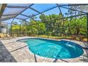 Beautiful screened-in pool with waterfall feature and ample space for lounging in a tropical setting at 11711 Alessandro Ln, Venice, FL 34293