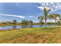 Scenic backyard view showcasing a serene pond, lush green grass, and mature trees, offering a peaceful outdoor retreat at 24849 Pennington Ter, Venice, FL 34293