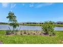 Scenic view of a pond with lush green grass and homes in the distance at 10367 Abaco Falls Dr, Englewood, FL 34223
