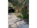 Exterior shot of a home surrounded by tropical foliage and a gravel drive at 202 Bayview Pkwy, Nokomis, FL 34275