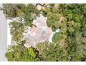 Aerial view of a single-Gathering home with a swimming pool and surrounded by lush greenery and mature trees at 5369 Shadow Lawn Dr, Sarasota, FL 34242
