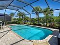 Relaxing screened-in pool area with palm trees and a view of the lake at 13862 Miranese St, Venice, FL 34293