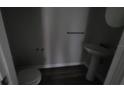 Small powder room with pedestal sink and toilet at 11055 Golden Silence Dr, Riverview, FL 33579