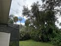Landscaped backyard with mature trees and vegetation at 4706 W Estrella St, Tampa, FL 33629