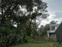 Spacious backyard with lush landscaping and trees at 4706 W Estrella St, Tampa, FL 33629