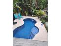Relaxing kidney-shaped pool with surrounding patio at 510 Wideview Ave, Tarpon Springs, FL 34689